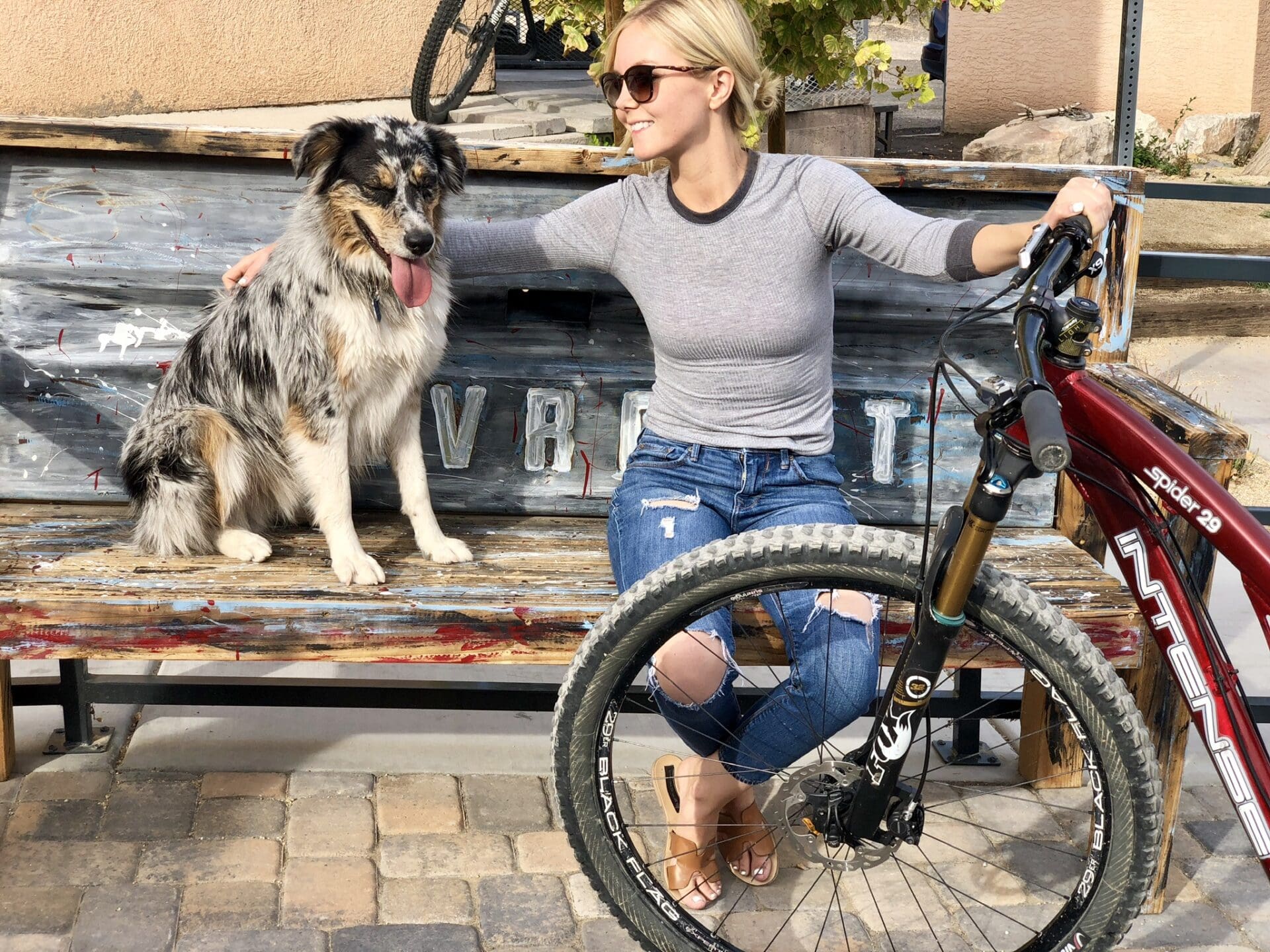 Biker with dog 2